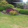 Photo 6: garden