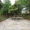 Photo 8: The Garden