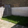 Photo 5: Backyard