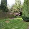 Photo 4: Large Garden with a Pear tree patio and bicycle shed