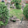 Photo 5: Garden
