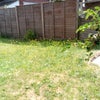 Photo 9: Garden