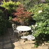 Photo 4: enclosed rear garden