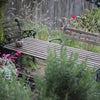 Photo 6: Garden