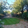 Photo 8: Very Pleasant Rear Garden With BBQ