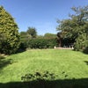 Photo 6: Massive garden 