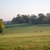Photo 8: our local Brockwell Park