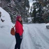 Shikha\'s picture