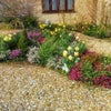Photo 5: Front garden of property in Spring