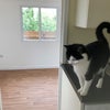 Photo 9: Pets are welcome 