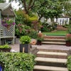 Photo 5: garden