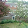 Photo 2: Back garden and lower garage