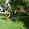 Photo 4: Garden and Driveway