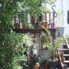 Photo 3: View of the Garden