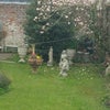 Photo 7: GARDEN