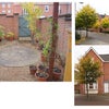 Photo 5: Garden & Front