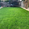 Photo 7: Access to shared Garden
