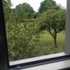 Photo 4: View of park from bedroom window