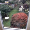 Photo 6: Garden View From Bedroom