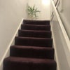 Photo 3: Two Layer Flat
