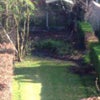 Photo 2: Garden