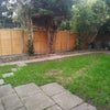 Photo 8: Garden