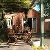 Photo 9: Back Garden