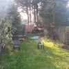 Photo 7: Garden
