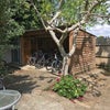 Photo 8: Bike shelter in rear garden (rear access)