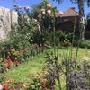 Photo 7: Garden 