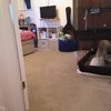 Photo 5: Bedroom, View 2 (rabbit hutch has moved out)!