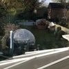 Photo 3: Garden 