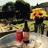 Photo 3: Garden on a cheeky summers day - 