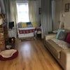 Photo 5: Living Room