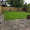 Photo 3: One site of the garden 