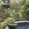 Photo 5: Garden