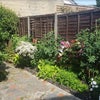 Photo 6: Garden