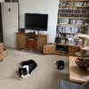 Photo 1: Front Room