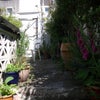 Photo 5: terrace