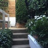 Photo 6: garden