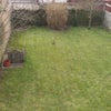 Photo 5: Garden