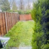 Photo 9: garden