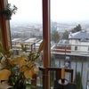 Photo 4: City view