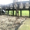 Photo 8: Garden
