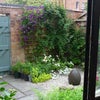 Photo 9: Courtyard Garden