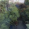 Photo 8: garden