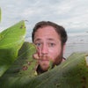 Photograph of matt