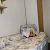 Photo 3: Single room (tall wardrobe)