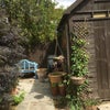 Photo 6: Garden