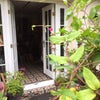 Photo 2: Back garden view